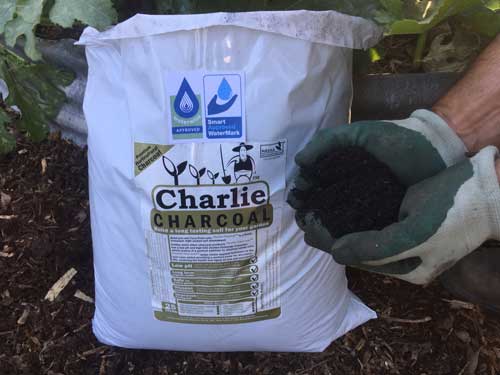 charlie charcoal